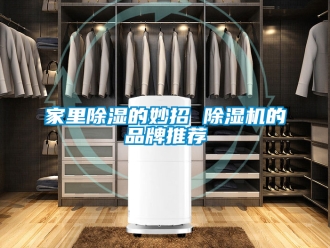 企業(yè)新聞家里除濕的妙招 除濕機的品牌推薦