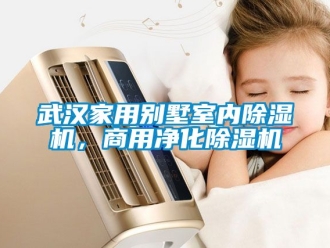 常見問題武漢家用別墅室內(nèi)除濕機(jī)，商用凈化除濕機(jī)