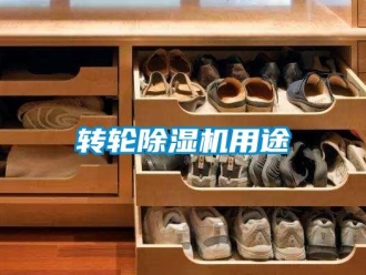 知識百科轉(zhuǎn)輪除濕機(jī)用途