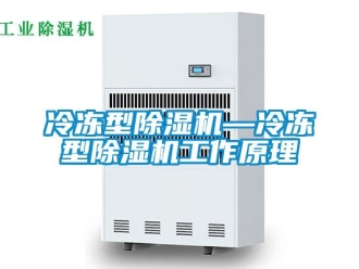 行業(yè)新聞冷凍型除濕機(jī)—冷凍型除濕機(jī)工作原理