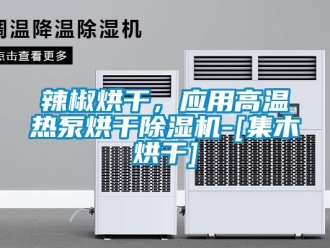 行業(yè)新聞辣椒烘干，應(yīng)用高溫?zé)岜煤娓沙凉駲C(jī)-[集木烘干]