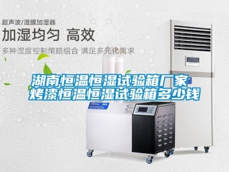知識(shí)百科湖南恒溫恒濕試驗(yàn)箱廠家 烤漆恒溫恒濕試驗(yàn)箱多少錢(qián)