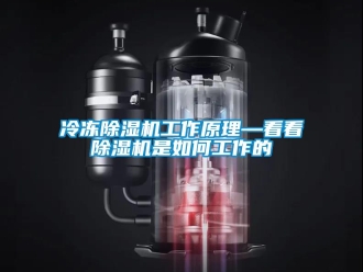 行業(yè)新聞冷凍除濕機工作原理—看看除濕機是如何工作的
