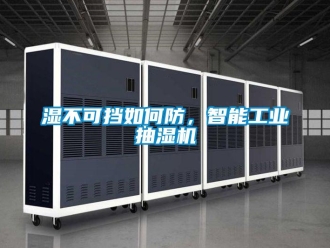 常見問題濕不可擋如何防，智能工業(yè)抽濕機