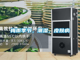 行業(yè)新聞梅雨季節(jié)，潮濕，皮膚病