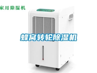 常見問題蜂窩轉(zhuǎn)輪除濕機(jī)