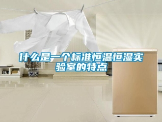 知識(shí)百科什么是一個(gè)標(biāo)準(zhǔn)恒溫恒濕實(shí)驗(yàn)室的特點(diǎn)