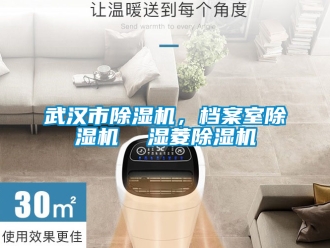 行業(yè)新聞武漢市除濕機(jī)，檔案室除濕機(jī)  濕菱除濕機(jī)