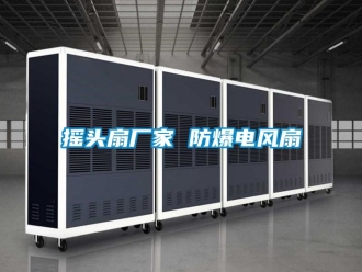 企業(yè)新聞?chuàng)u頭扇廠家 防爆電風(fēng)扇