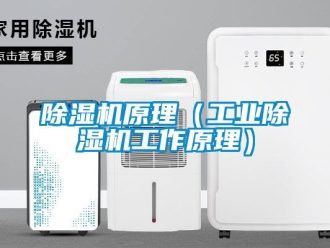 常見問題除濕機原理（工業(yè)除濕機工作原理）