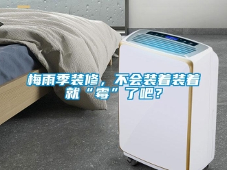 行業(yè)新聞梅雨季裝修，不會(huì)裝著裝著就“霉”了吧？