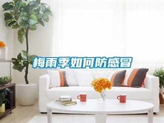 常見(jiàn)問(wèn)題梅雨季如何防感冒