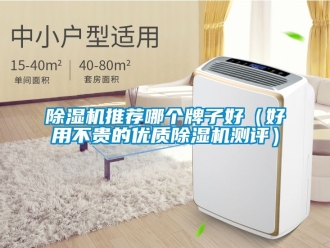 行業(yè)新聞除濕機(jī)推薦哪個(gè)牌子好（好用不貴的優(yōu)質(zhì)除濕機(jī)測(cè)評(píng)）