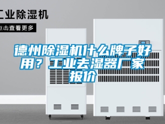 企業(yè)新聞德州除濕機什么牌子好用？工業(yè)去濕器廠家報價