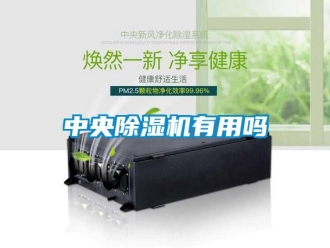 常見問題中央除濕機有用嗎