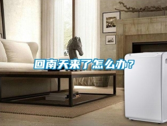 常見問題回南天來了怎么辦？