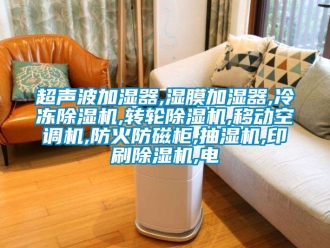 常見問題超聲波加濕器,濕膜加濕器,冷凍除濕機,轉(zhuǎn)輪除濕機,移動空調(diào)機,防火防磁柜,抽濕機,印刷除濕機,電