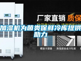 行業(yè)新聞加濕機(jī)為菌類保鮮冷庫(kù)提供助力