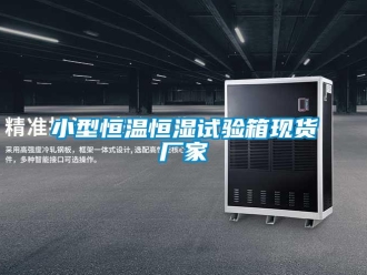 知識百科小型恒溫恒濕試驗(yàn)箱現(xiàn)貨廠家