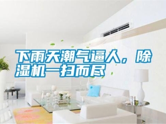 知識(shí)百科下雨天潮氣逼人，除濕機(jī)一掃而盡