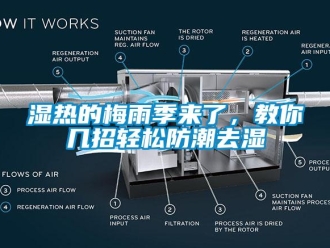 知識(shí)百科濕熱的梅雨季來了，教你幾招輕松防潮去濕