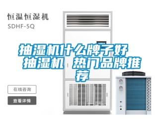 企業(yè)新聞抽濕機(jī)什么牌子好  抽濕機(jī) 熱門品牌推薦