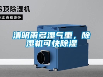 行業(yè)新聞清明雨多濕氣重，除濕機(jī)可快除濕