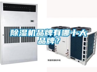 企業(yè)新聞除濕機品牌有哪十大品牌？