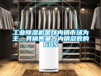 常見問題工業(yè)除濕機是以內(nèi)銷市場為主，其銷售量占內(nèi)銷總數(shù)的60%