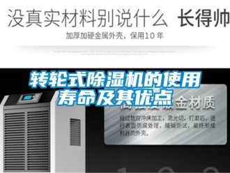 常見問題轉(zhuǎn)輪式除濕機(jī)的使用壽命及其優(yōu)點(diǎn)