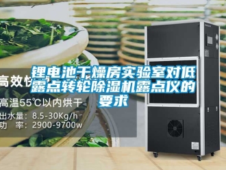 常見問題鋰電池干燥房實驗室對低露點轉(zhuǎn)輪除濕機露點儀的要求
