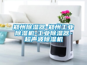 常見問題鄭州除濕器-鄭州工業(yè)除濕機(jī)-工業(yè)除濕器-超聲波除濕機(jī)