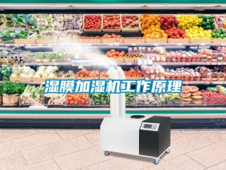 知識(shí)百科濕膜加濕機(jī)工作原理