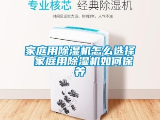 行業(yè)新聞家庭用除濕機(jī)怎么選擇 家庭用除濕機(jī)如何保養(yǎng)