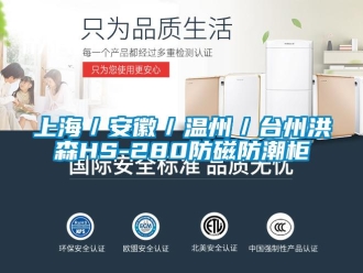 常見問題上海／安徽／溫州／臺(tái)州洪森HS-280防磁防潮柜