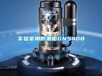 常見(jiàn)問(wèn)題實(shí)驗(yàn)室用防潮柜GN540B