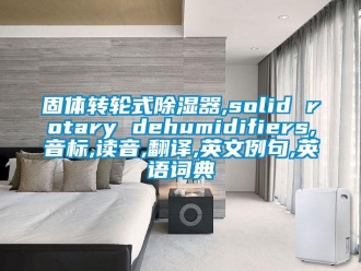 行業(yè)新聞固體轉(zhuǎn)輪式除濕器,solid rotary dehumidifiers,音標,讀音,翻譯,英文例句,英語詞典