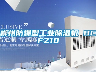 企業(yè)新聞郴州防爆型工業(yè)除濕機(jī) BCFZ10