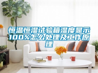 知識(shí)百科恒溫恒濕試驗(yàn)箱濕度顯示100%怎么處理及工作原理