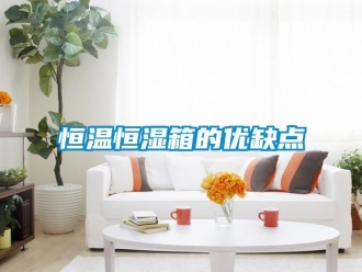 知識(shí)百科恒溫恒濕箱的優(yōu)缺點(diǎn)