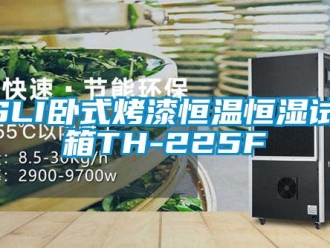 常見問題ASLI臥式烤漆恒溫恒濕試驗箱TH-225F