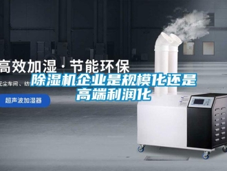 常見問題除濕機企業(yè)是規(guī)?；€是高端利潤化