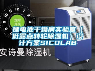 常見問題鋰電池干燥房實驗室（低露點轉(zhuǎn)輪除濕機）設(shè)計方案SICOLAB