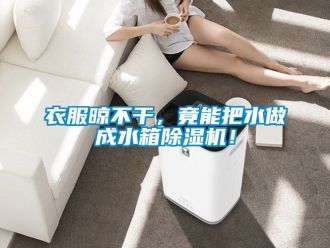 行業(yè)新聞衣服晾不干，竟能把水做成水箱除濕機(jī)！