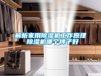 常見問題解析家用除濕機工作原理 除濕機哪個牌子好