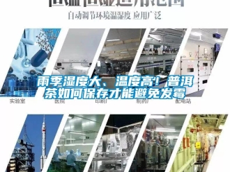 常見問題雨季濕度大、溫度高！普洱茶如何保存才能避免發(fā)霉