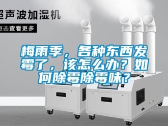 常見(jiàn)問(wèn)題梅雨季，各種東西發(fā)霉了，該怎么辦？如何除霉除霉味？