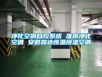 知識(shí)百科凈化空調(diào)自控系統(tǒng) 淮南凈化空調(diào) 安徽霖達(dá)恒溫恒濕空調(diào)