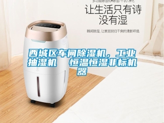 常見問題西城區(qū)車間除濕機，工業(yè)抽濕機  恒溫恒濕非標(biāo)機器