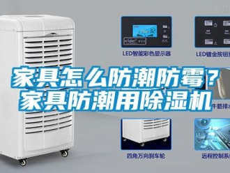 常見問題家具怎么防潮防霉？家具防潮用除濕機